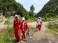 �Ų��[����3�f̎ ���Ĳ���13%