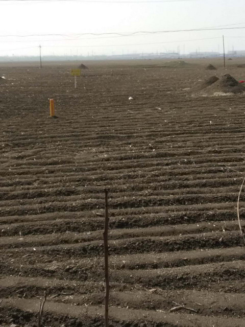 ��?c��i)��ױI�͵ġ�Ļ����֡�