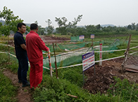 ����(sh��)���A(ch��)��(bi��o)������ ���M(j��n)�L(zh��ng)ݔ�ܵ����������_(t��i)�A