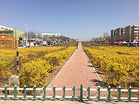 ����2.25©���¹ʵ�˼��