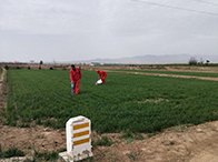 �����Ʒ��յ�Ұ���͚�ܵ��D��O(ji��n)��ϵ�y(t��ng)����