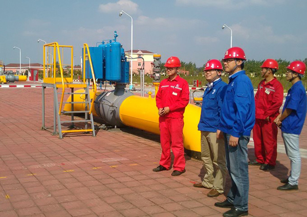 ����ʡ��Ȼ�⹫˾