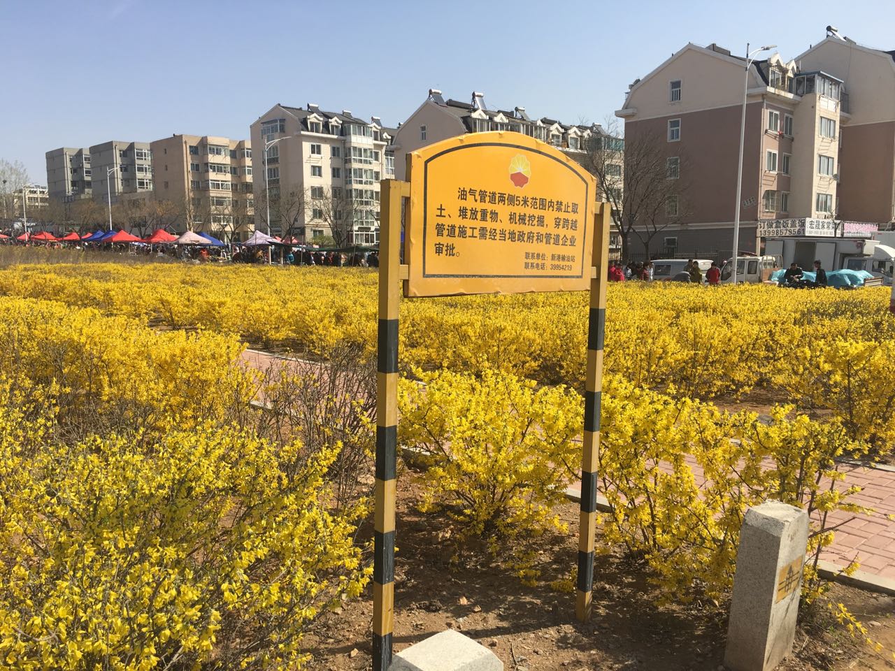 �͚�ܵ��L�U�R�e�c�ܿ�