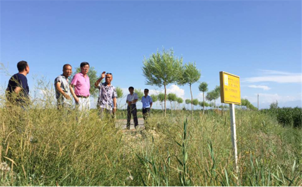 �����ƌW���͚�ܵ���ȫ�����wϵ