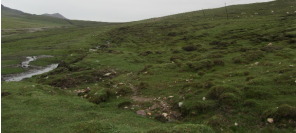 ����(ji��)�ԃ����^(q��)б���w�们��������عܵ���(y��ng)׃�O(ji��n)�y�c��(y��ng)������