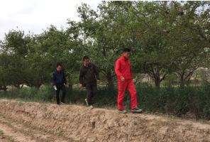 �����͚�ܵ��ߺ���^(q��)���팍(sh��)�`