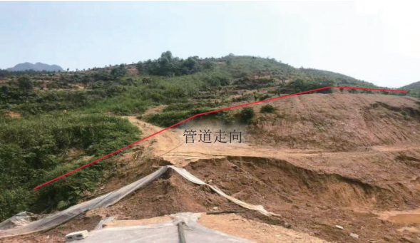 �V�����ȹܵ����|�ĺ��l(f��)�����������Ό���