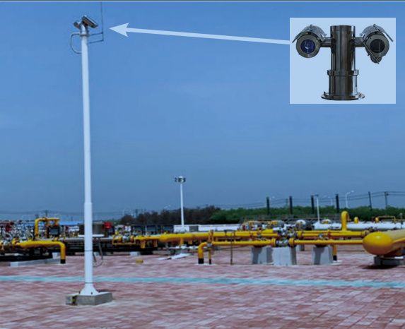 վ��(ch��ng)����z�y(c��)��ȼ?x��)��w��(y��ng)�ð���