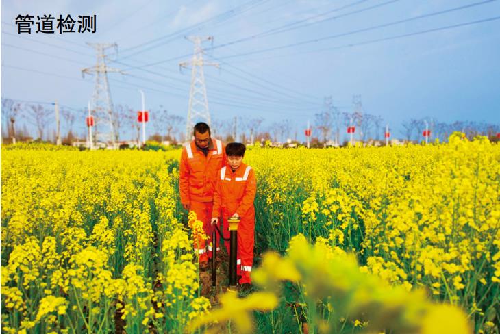 ��(du��)�͚�ܵ���ֱ���ɔ_��(w��n)�}���J(r��n)�R(sh��)