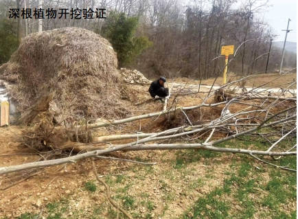 ���ֲ��ܵ�3PE�����ӵ�Ӱ푼��ּ�(j��)�ܿ�̽ӑ