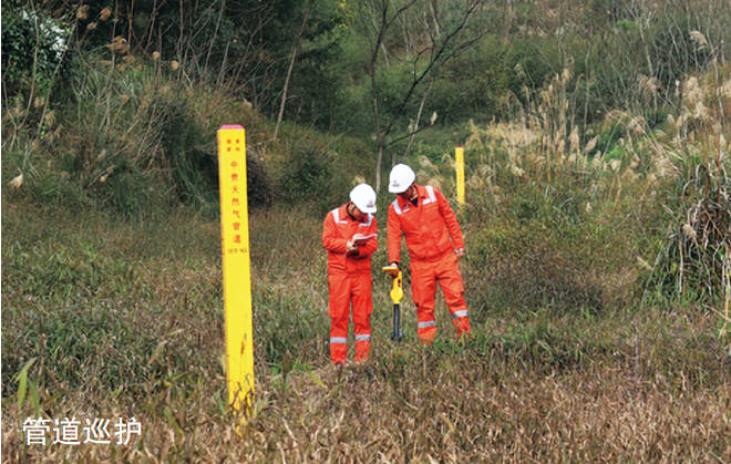 ��Ȼ���Lݔ�ܵ���ȫ���x�_�����������������о�