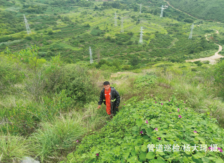 �ߗU��Ѳ�zϵ�y(t��ng)�ܵ����o(h��)��(y��ng)�÷���