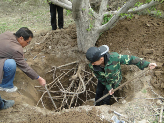 ���ֲ��ܵ������Ӻ��\�SӰ��о��C��