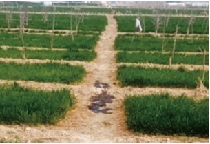 ���往�ܵ�ĸ���ѿp�B���¼�̎�ð���